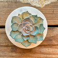 Succulent: Goat Milk Hemp Soap