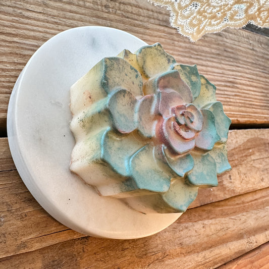 Succulent: Goat Milk Hemp Soap