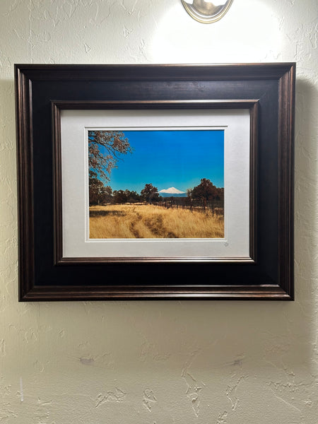 The Road Less Traveled: Framed Print