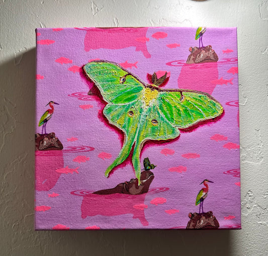 Magic Moth Series: Click Drop Down For Different Styles