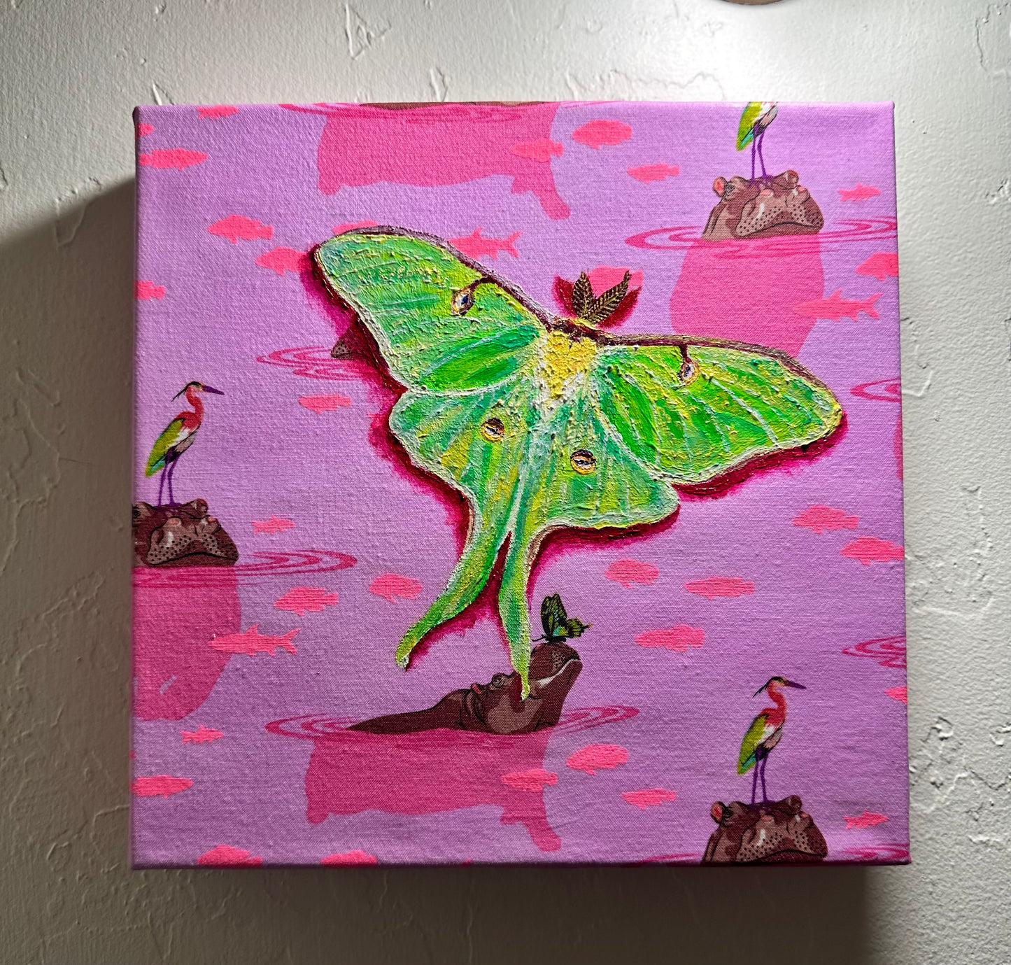 Magic Moth Series: Click Drop Down For Different Styles