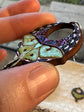 Luna Moth Drops