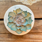 Succulent: Goat Milk Hemp Soap