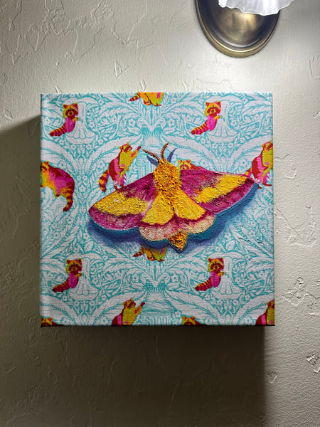 Magic Moth Series