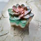 Succulent: Goat Milk Hemp Soap