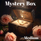 Medium Mystery Box: Earrings