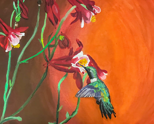 Hummingbird + Columbines