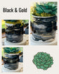 Hand Painted Succulent Plant Pots