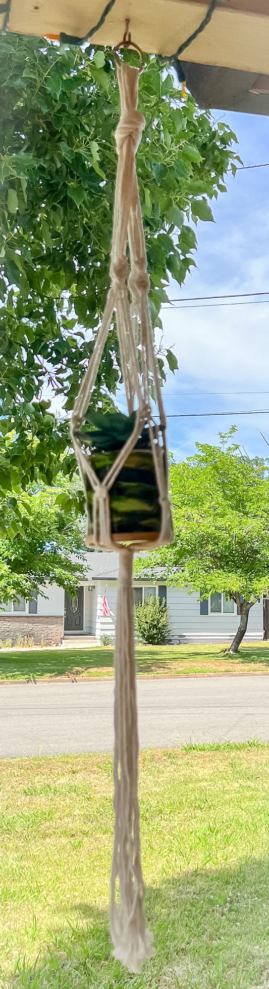 Macramé Plant Hangers