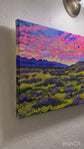 Mojave In Bloom