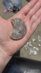 Flower Blossom Agate Moon Palm Stones