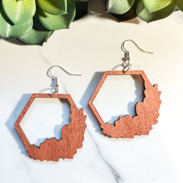 Hexagonal Cacti & Succulent Earrings
