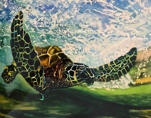 Sea Turtle Oops Art Print