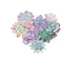 Succu-Love Print